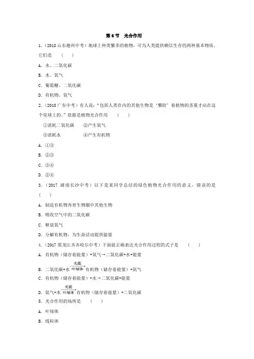 2019年浙教版科学八年级下册  光合作用
