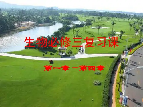 生物必修三复习 (2)PPT课件