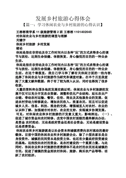 乡村作文之发展乡村旅游心得体会
