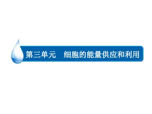 高考生物一轮复习课件: 第三单元 细胞的能量供应和利用(共104张PPT)