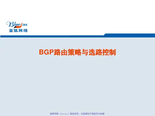 BGP路由策略与选路控制(第三次)