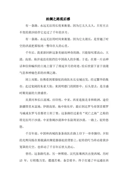 丝绸之路观后感