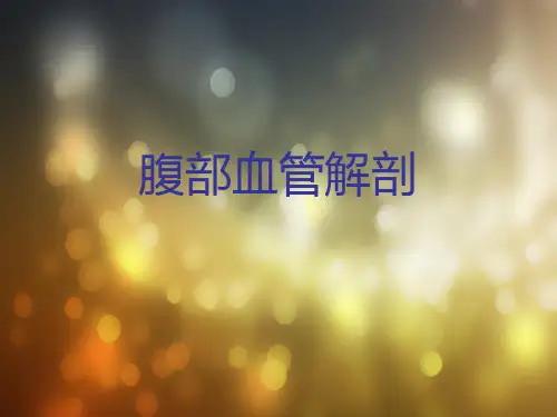 腹部血管解剖