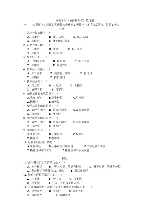 《麻醉解剖学》练习题