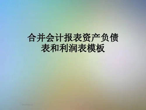合并会计报表资产负债表和利润表模板