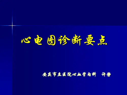 心电图诊断要点