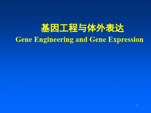第八章基因工程与体外表达