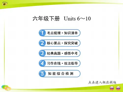 2013年鲁教版中考英语复习六年级下册 Units 6-10