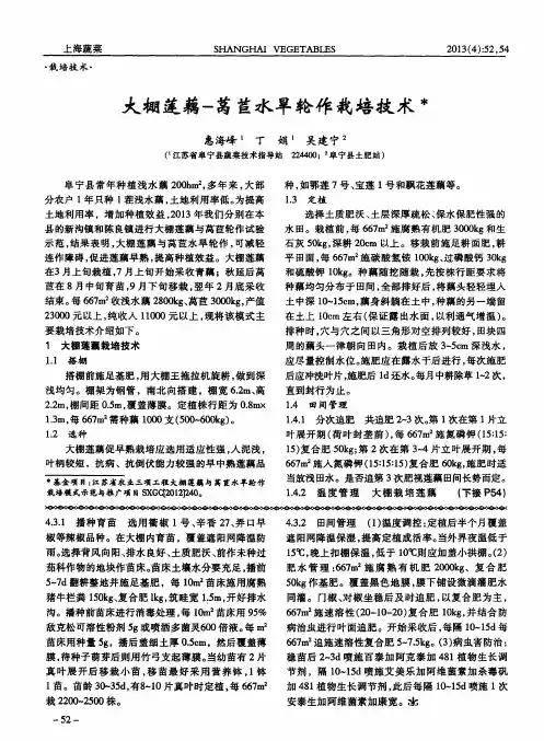 大棚莲藕-莴苣水旱轮作栽培技术