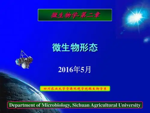 微生物学-1.2