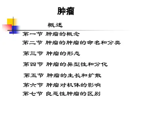 病理学之肿瘤_PPT课件