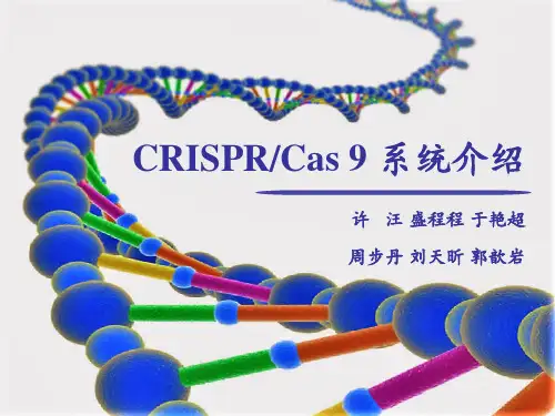 CRISPR基因编辑技术