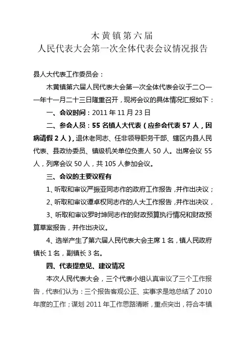 人代会工作报告