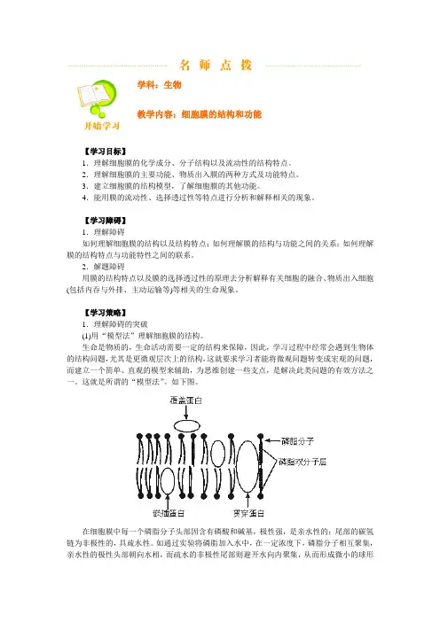 细胞膜的结构和功能 3