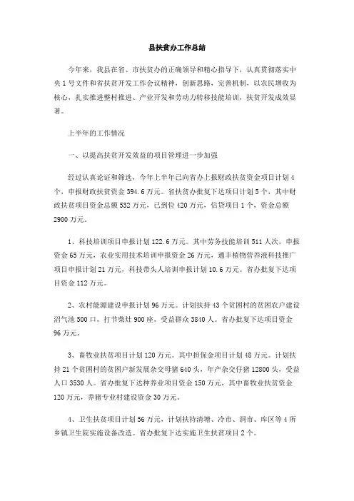 县扶贫办工作总结