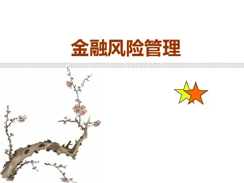 金融风险管理-PPT(精).