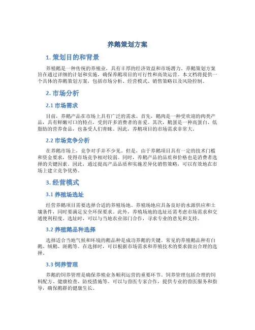 养鹅策划方案