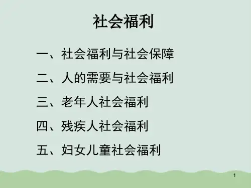 社会福利内容综合概述PPT(共52页)