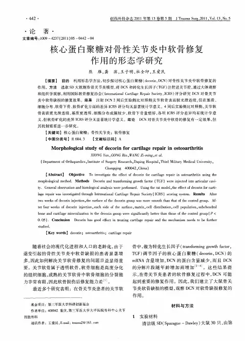 核心蛋白聚糖对骨性关节炎中软骨修复作用的形态学研究