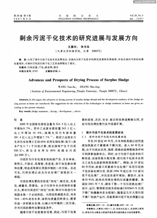 剩余污泥干化技术的研究进展与发展方向
