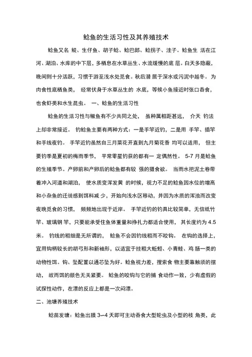 鲶鱼的生活习性及其养殖技术