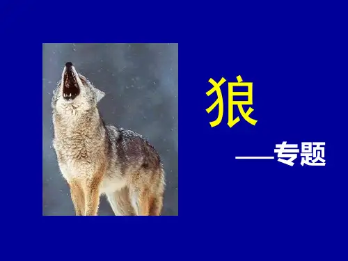 苏教版七上语文《狼》专题