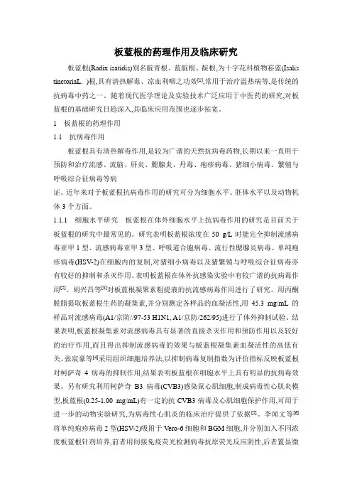 板蓝根的药理作用及临床应用