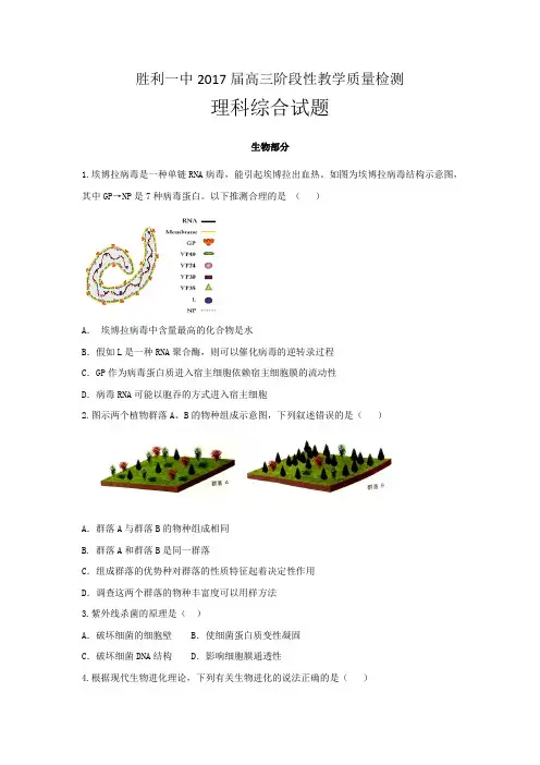 山东省东营市胜利第一中学2017届高三阶段性考试(2016.12.21)理科综合-生物试题含答案