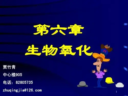 第六章 生物氧化201304贾竹青