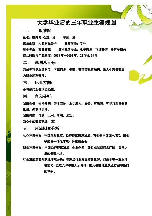 大学毕业后的三年职业生涯规划