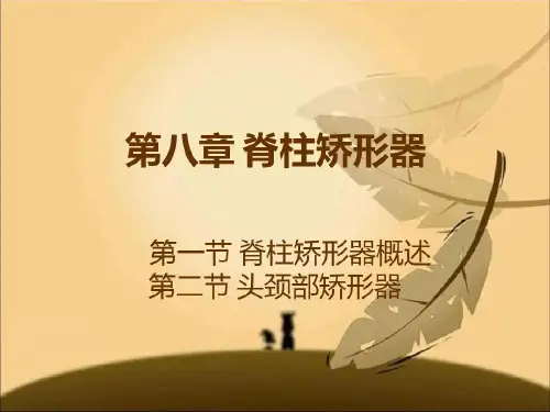 假肢与矫形器技术27页PPT
