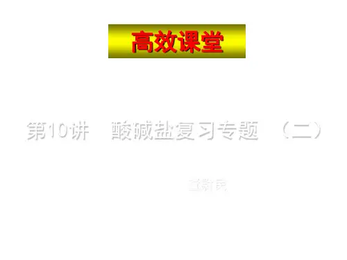 中考化学酸碱盐复习专题