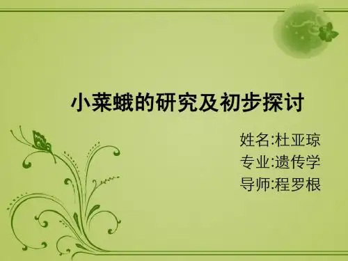 小菜蛾的研究及初步探讨