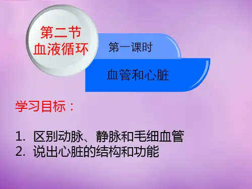 2020--2021学年苏教版七年级下册生物 10.2人体的血液循环 课件 