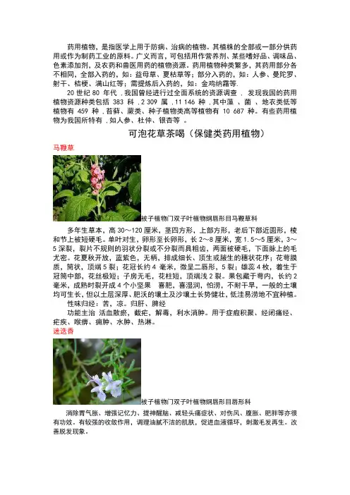 常见药用植物介绍