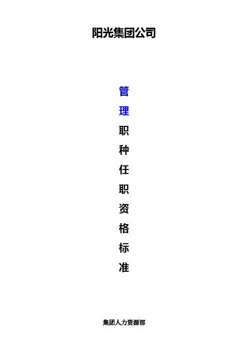 集团公司管理职种任职资格体系标准