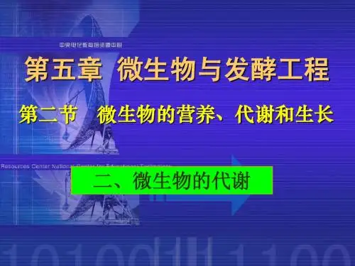 5.2.2微生物的代谢