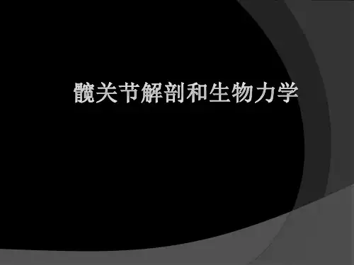 髋关节解剖及生物力学-hip