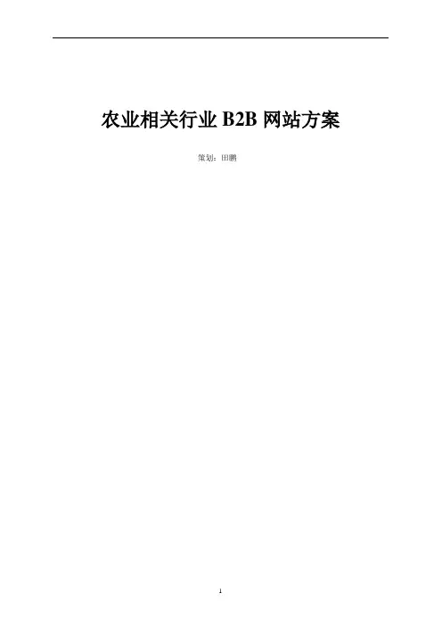 b2b网站策划总体方案