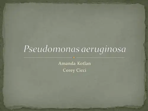 Pseudomonas_aeruginosa_
