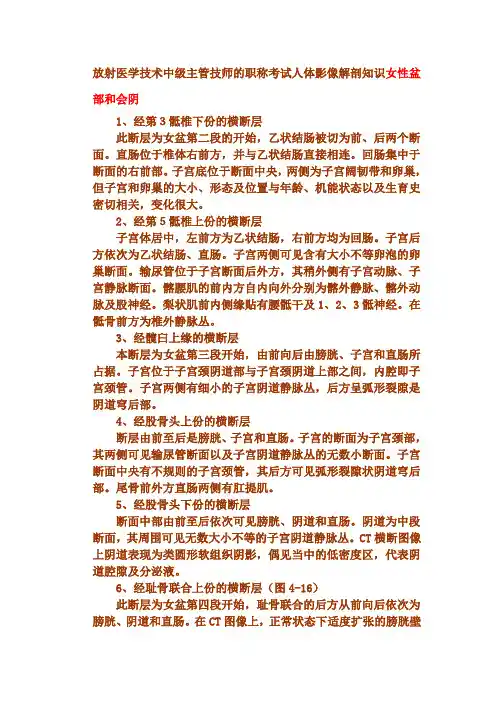 放射医学技术中级主管技师的职称考试人体影像解剖知识女性盆部和会阴