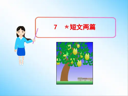 7﹡短文两篇-行道树、第一次真好 课件