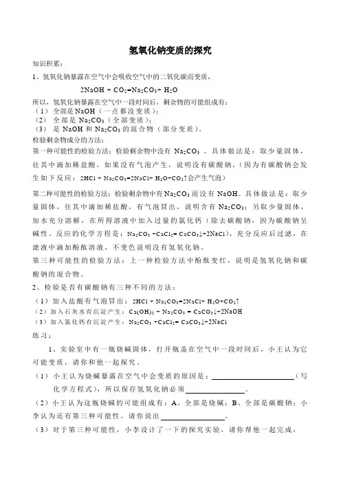 化学专题 氢氧化钠变质的探究