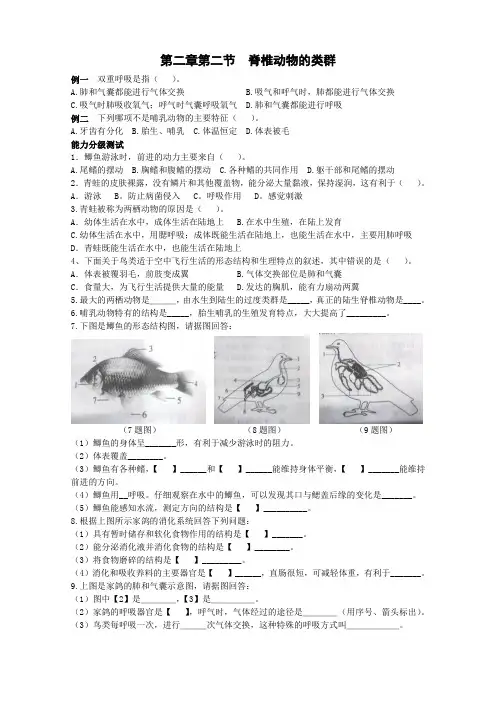 第二章第二节  脊椎动物的类群