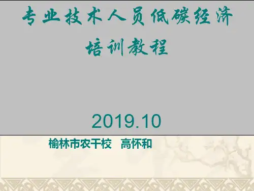 2019低碳经济