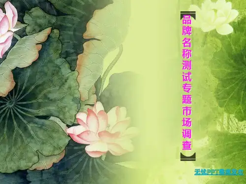品牌名称测试