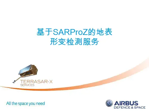 基于SARProZ的地表形变检测服务