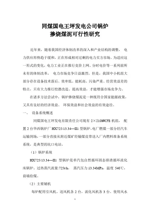 煤泥掺烧可研