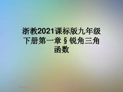 浙教2021课标版九年级下册第一章§锐角三角函数