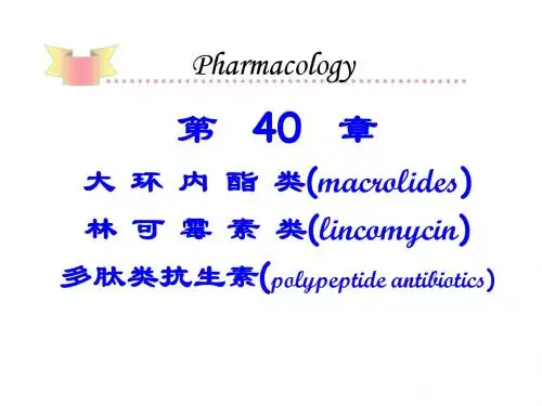 大环内酯类林可霉素类多肽类抗生素讲义